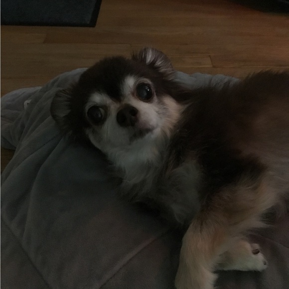 Welcome to My Closet - Picture 2 of 3